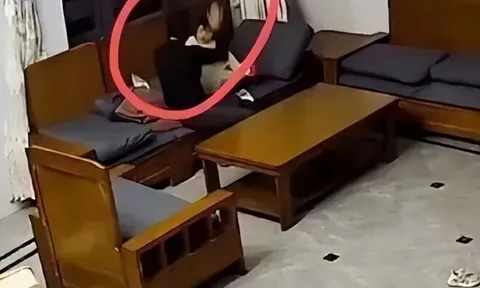 Bé gái 3 tuổi bị ông bà nội đánh liên tiếp, mẹ bất lực còn bố thờ ơ
