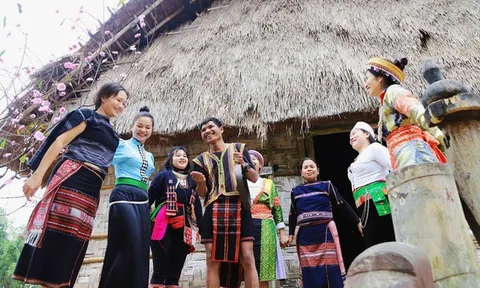 Nhiều hoạt động văn hóa đặc sắc với chủ đề ‘Bác Hồ với cộng đồng các dân tộc Việt Nam’