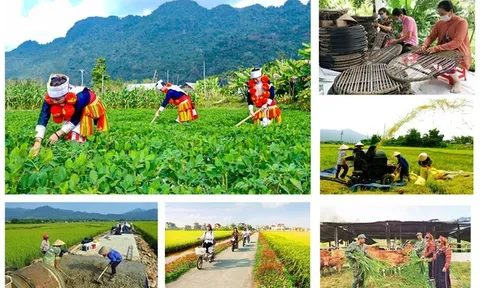 Điều chỉnh, phân bổ kế hoạch đầu tư công các chương trình mục tiêu quốc gia cho các địa phương