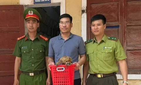 Cận cảnh con vật "lạ" có nọc độc ở khuỷu tay xuất hiện ở Quảng Bình