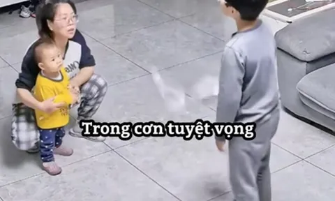 Cậu bé tức giận vì bị em gái xé nát bài kiểm tra, mẹ ra sức bênh em, hành xử ngược lại của bố đáng học hỏi