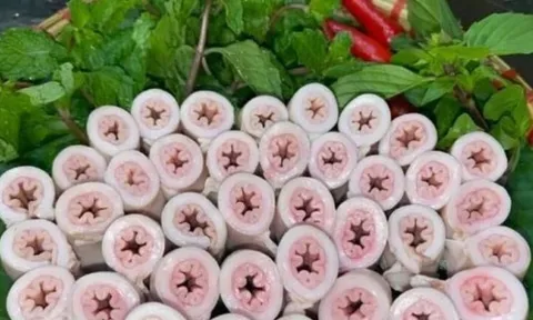 Sẽ kiểm tra, truy xuất nguồn gốc cơ sở "khoe" cỗ lòng se điếu dài 40m, làm rõ nghi vấn "phù phép", ngâm hóa chất