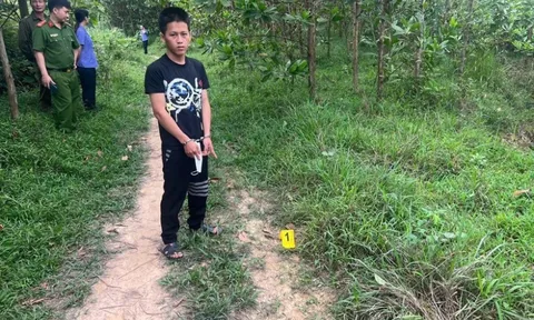 Người phụ nữ thu mua sắt vụn bị "dụ" vào rừng keo, xâm hại: Lộ diện nghi phạm