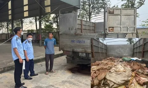 Bắt giữ gần 5 tấn da trâu, bò không rõ nguồn gốc xuất xứ