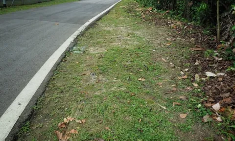 Người mẹ đoạt mạng con trai bằng dây chun rồi tự kết liễu, hé lộ lá thư tuyệt mệnh