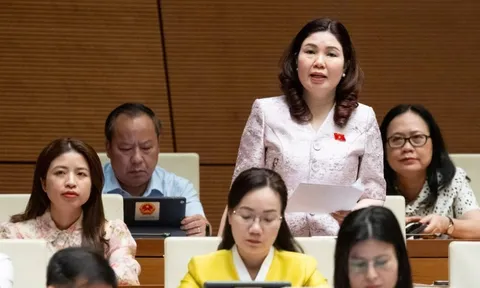 "Kẽ hở" nào khiến gần 600 loại sữa giả tuồn ra thị trường?