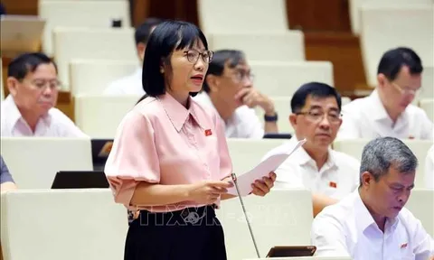 Sữa giả, thuốc giả và trách nhiệm từ quản lý đến đạo đức doanh nghiệp