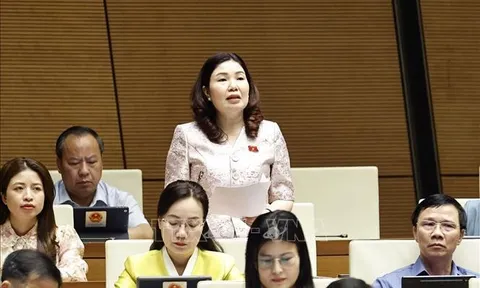 Kiến nghị bãi bỏ quy định về công bố hợp quy sản phẩm, hàng hóa