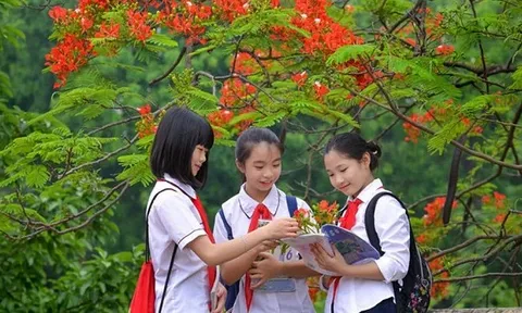 Thủ tướng chỉ đạo 3 vấn đề nóng trong giáo dục