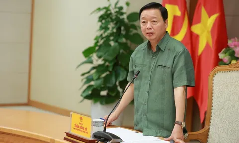 Nuôi, trồng dược liệu dưới tán rừng phải gắn chặt với 'giữ dân, giữ rừng'