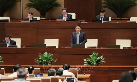 Đề xuất miễn thuế sử dụng đất nông nghiệp đến hết năm 2030