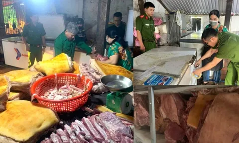 Rùng mình gần 800kg thịt heo ôi thiu, nhiễm dịch tả lợn châu Phi có mặt tại cơ sở sơ chế trái phép
