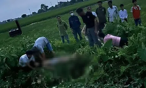 Dùng gậy sắt lấy diều bị mắc trên dây điện cao thế, 3 nam sinh ở Hà Nội thương vong