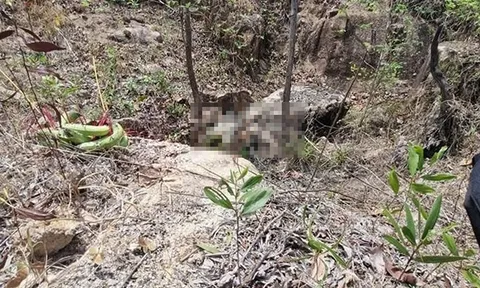 Phát hiện thi thể nam giới đã khô kẹp giữa 2 tảng đá ở núi Dinh: Nạn nhân mặc áo thun, quần dài