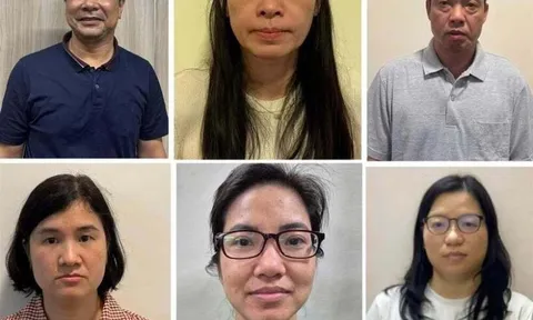 Lý do khiến Chủ tịch kiêm Tổng Giám đốc Công ty Hoàng Long bị khởi tố