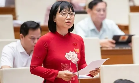 Đại biểu Quốc "hiến kế" bịt kẽ hở hậu kiểm ngăn chặn "công ty ma"