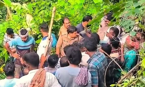 Đang cạo mủ cao su, người đàn ông bất ngờ bị hổ dữ vồ tử vong