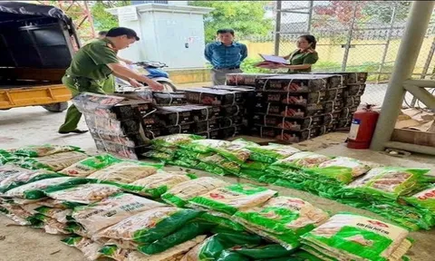 Phát hiện 29 tấn thực phẩm không rõ nguồn gốc chỉ trong 1 ngày ở Hà Giang