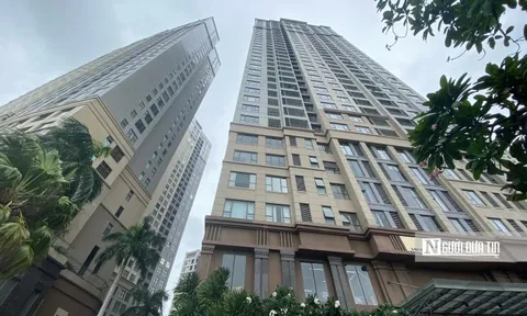 Khám xét nơi ở của hoa hậu Nguyễn Thúc Thùy Tiên