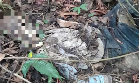 Phát hiện thi thể phân hủy gần hết dưới vực đèo Bảo Lộc: Nhận định ban đầu