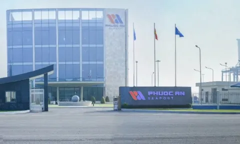Cảng Phước An bị phạt vì công bố sai thông tin và giao dịch 'chui'