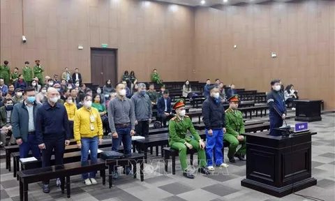 Vụ cháy chung cư mini ở Thanh Xuân, Hà Nội: Cả tám bị cáo đều kháng cáo