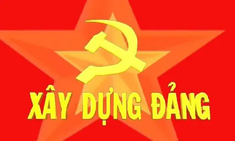 Kết luận 157-KL/TW của Bộ Chính trị về sắp xếp tổ chức bộ máy, đơn vị hành chính