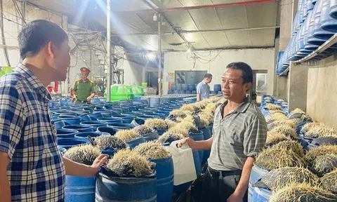 Sốc với quy trình làm giá đỗ bằng hóa chất: Nguy hiểm rình rập bữa ăn gia đình