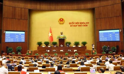 Đợt 1, Kỳ họp thứ 9, Quốc hội khóa XV: Những điểm nhấn quan trọng mang ý nghĩa lịch sử