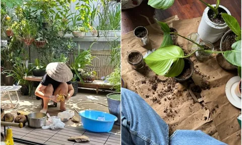Trồng 40 chậu cây, nuôi 7 con mèo, đi làm chỉ để nhận hàng shipper là tự “đào hố” chôn mình?