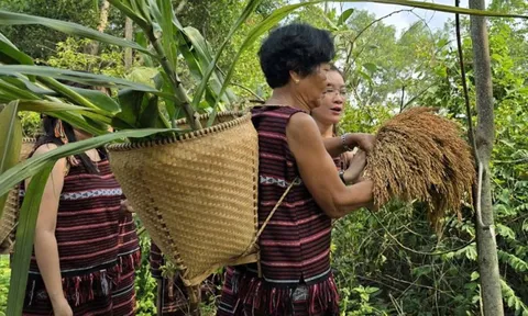 Công bố thêm 11 di sản văn hóa phi vật thể Quốc gia