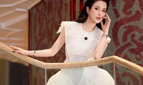 Diệp Lâm Anh: "Xét nghiệm ADN đối với đàn ông có thể là thủ tục, nhưng với phụ nữ đó là sự sỉ nhục"