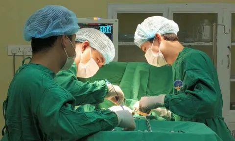 Người phụ nữ phải cắt bỏ hai vú vì dùng ong đốt điều trị ung thư