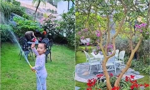 Khu vườn mùa hè ở biệt thự trên núi của vợ chồng diễn viên Mạnh Trường: Hoa giăng lối, cây trĩu quả