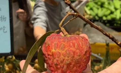 Con dâu nổi giận vì mẹ chồng ăn hết 3 quả vải thiều của cháu, biết giá tiền bà nội nghẹn họng