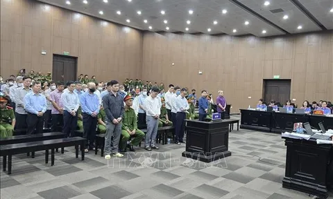 Chủ tịch Tập đoàn Phúc Sơn thừa nhận hưởng lợi trái phép 1.164 tỷ đồng