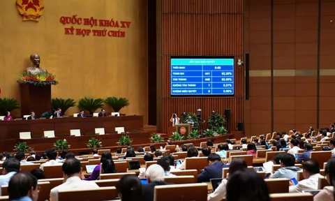 Miễn học phí: Mệnh lệnh vì dân, hành động vì tương lai