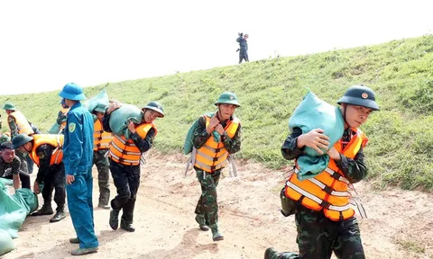 Chức năng, nhiệm vụ và cơ cấu tổ chức Ban Chỉ huy Phòng thủ dân sự cấp xã