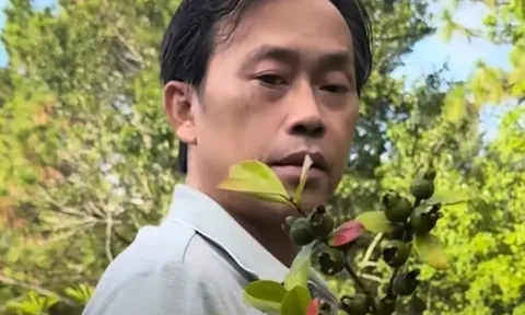 Em trai ruột hé lộ khu vườn rộng nhà Hoài Linh bên Mỹ, có cây ổi lạ và nhiều cây trái Việt Nam