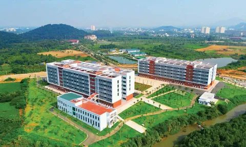 Nghị định 201/2025/NĐ-CP: Tăng quyền tự chủ cho đại học quốc gia