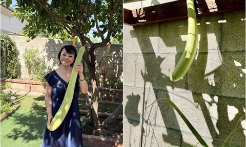 Danh ca Hương Lan có giàn bầu được nhiều nghệ sĩ đến thăm, yên ấm cùng chồng kỹ sư trong nhà vườn 1.000m2