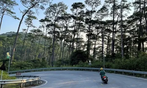 2 cô gái trẻ "đổ đèo" Tam Đảo lúc nửa đêm bị chặn đường, xâm hại tình dục: Thủ đoạn kinh hãi của 3 nghi phạm