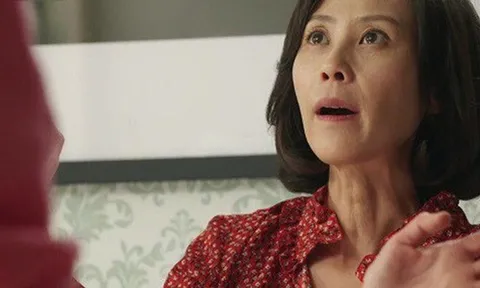 Cưới bồ nhí 10 năm không có bầu, chồng cũ tìm tôi đòi con, kết quả ADN khiến mẹ chồng cũ ngất lên ngất xuống