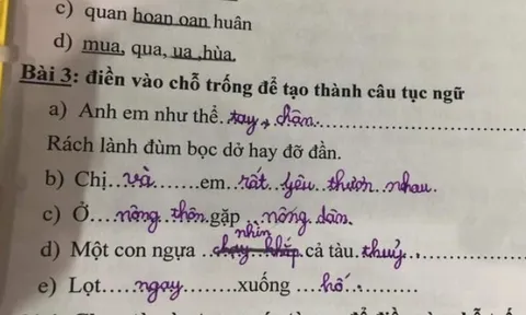 Bài tập tiếng Việt về loạt thành ngữ, tục ngữ của học sinh tiểu học gây bão, đáp án sai nhưng lại rất thuyết phục
