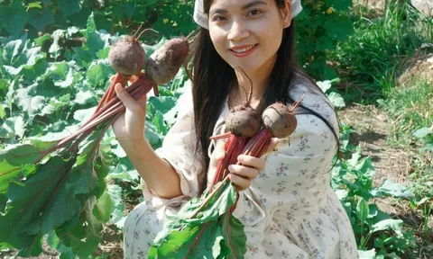 Mẹ đảm mát tay làm vườn ở Mỹ, phải xách cả cuốc từ Việt Nam sang, rau nào cũng xanh tươi tốt