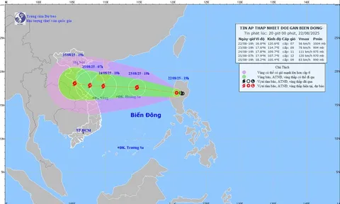 Chủ động ứng phó áp thấp nhiệt đới có khả năng mạnh lên thành bão