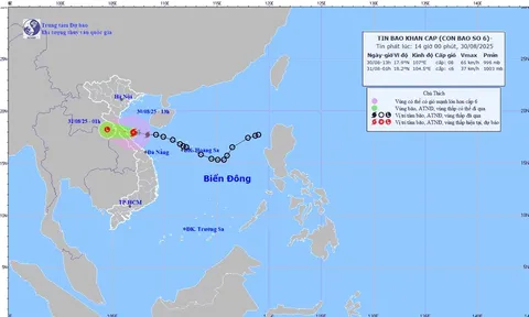 Thủ tướng Chính phủ yêu cầu tập trung ứng phó bão số 6