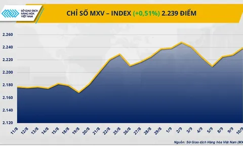 THỊ TRƯỜNG HÀNG HÓA: Nối dài chuỗi tăng