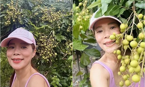 "Phú bà" showbiz Việt khoe nông sản đã mắt trong khu vườn 10.000m2, có giống gà hàng triệu đồng/con