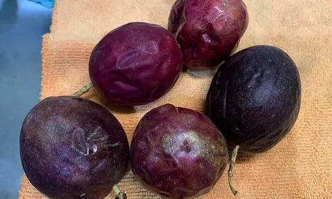 Con khen cơm trưa ở trường rất ngon nhưng ngày nào cũng mang về một thứ, mẹ tức giận tới gặp hiệu trưởng